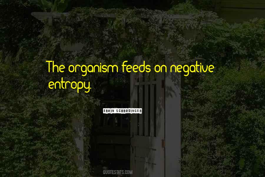 Decouple Synonym Quotes #650428