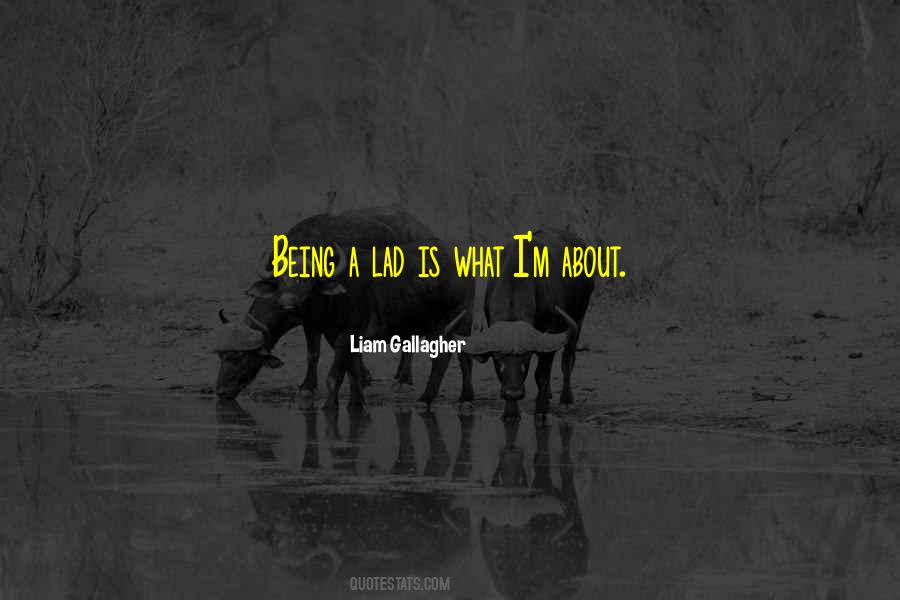 Dornellas Quotes #1426662