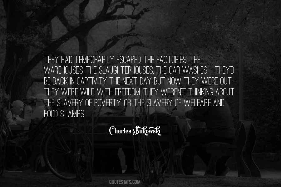 Car Freedom Quotes #1232525