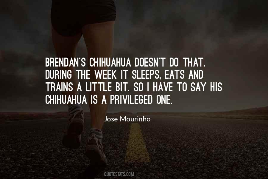 Beketova Quotes #306914