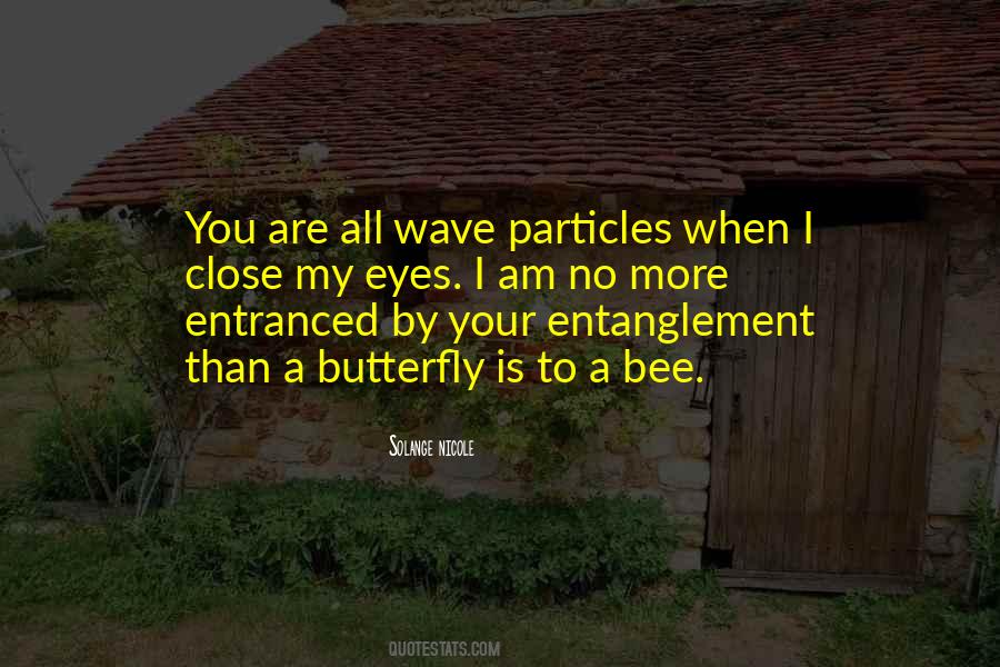 Wave Particle Theory Quotes #273949