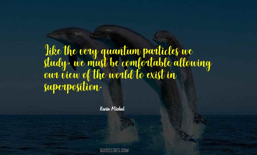 Wave Particle Theory Quotes #742361