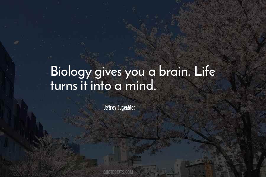 Ometepe Ferry Quotes #526439