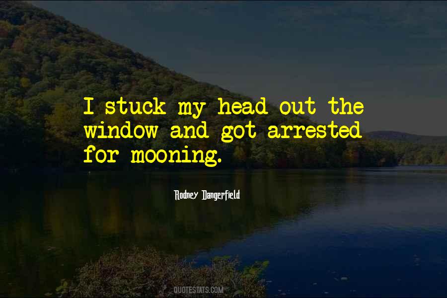 Daruieste Aripi Quotes #650406
