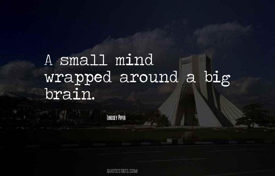 Small Mind Quotes #1443119