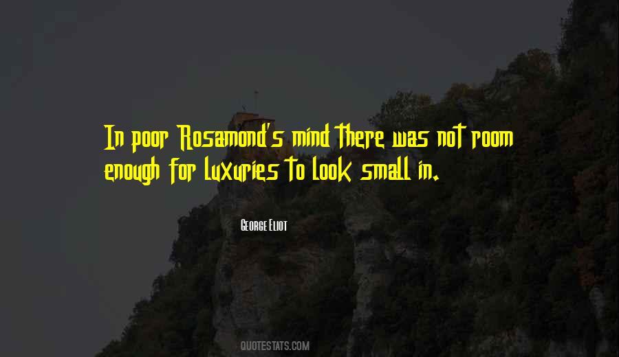 Small Mind Quotes #45348