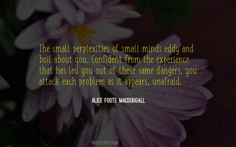 Small Mind Quotes #593126