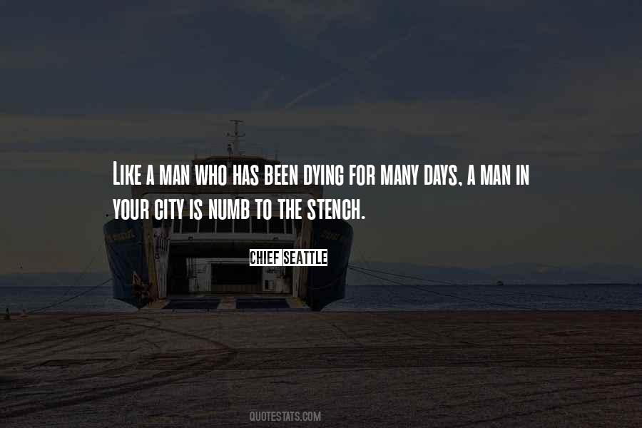 Damicos Quotes #1406371