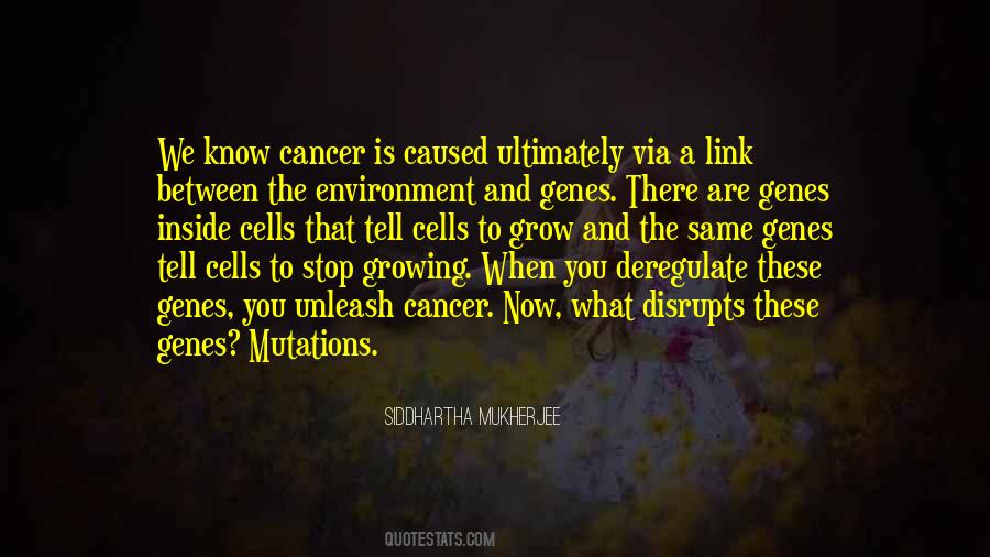 Zeal Saint Quotes #502987