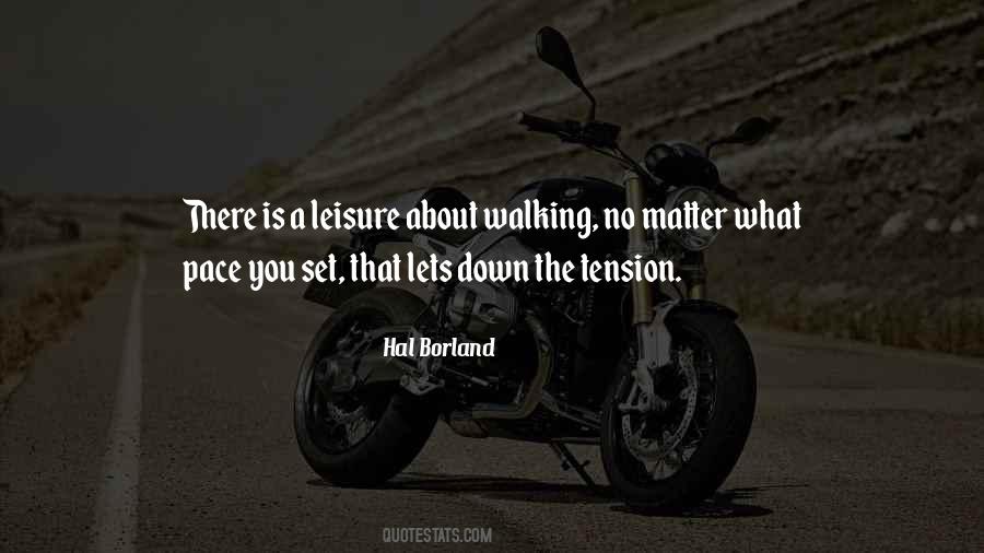Zermeno In Lagos Quotes #1747953
