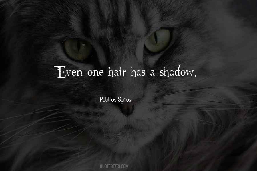 A Shadow Quotes #1355253