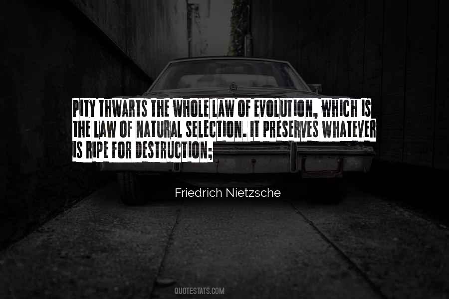 Oignons Frits Quotes #302111