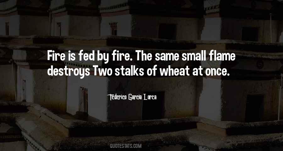 Atrazine Application Quotes #1703500