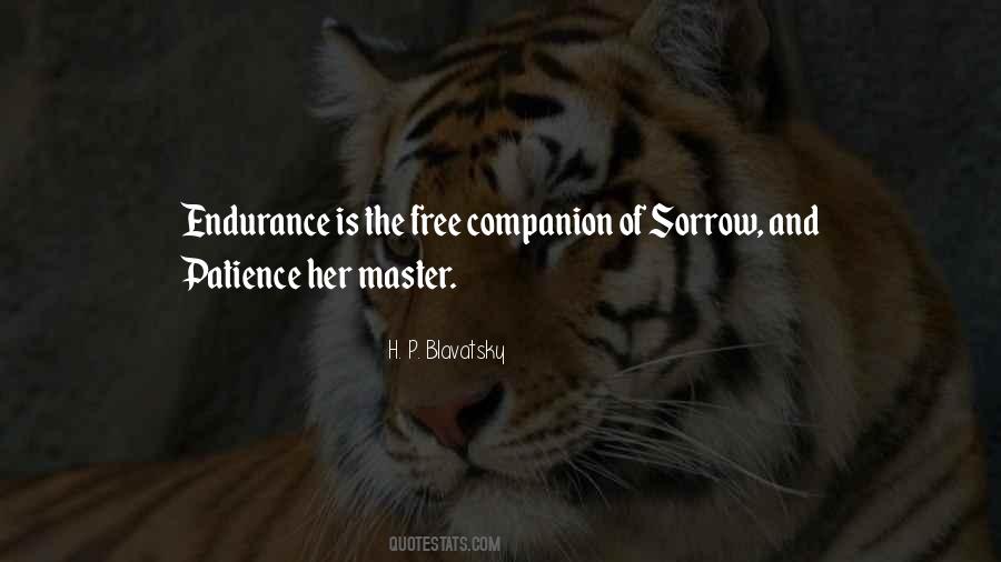 Stelios 300 Quotes #1624275