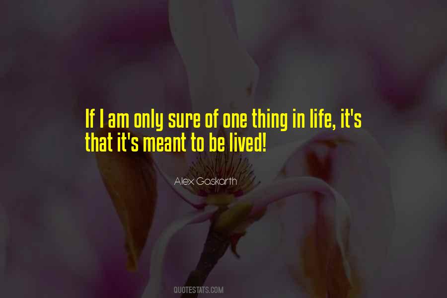 Mirabelli Pingitore Quotes #1807312