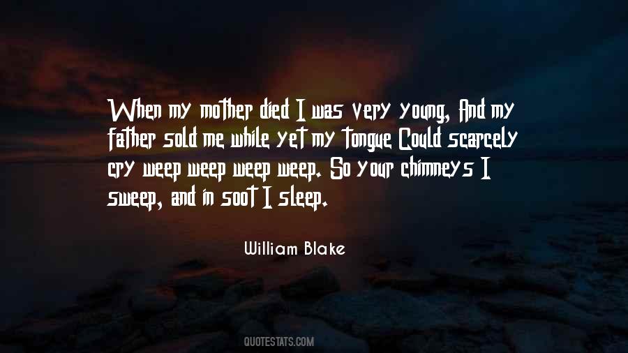 Chimneys Plus Quotes #1150386