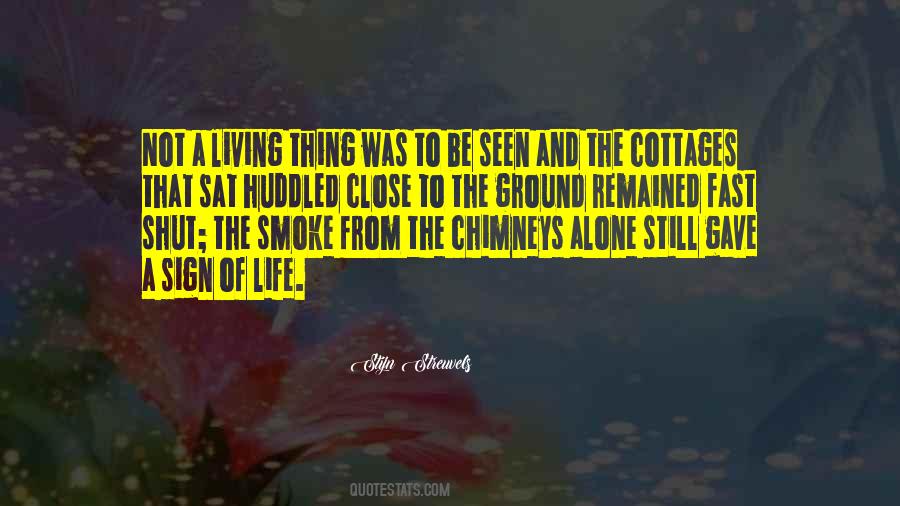 Chimneys Plus Quotes #585401