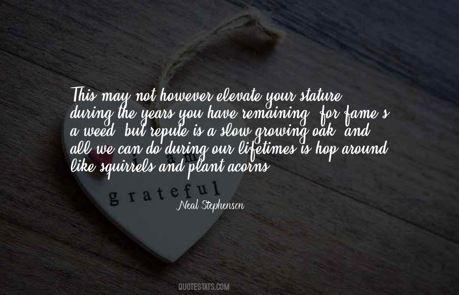 Solomonova Knjiga Quotes #57434