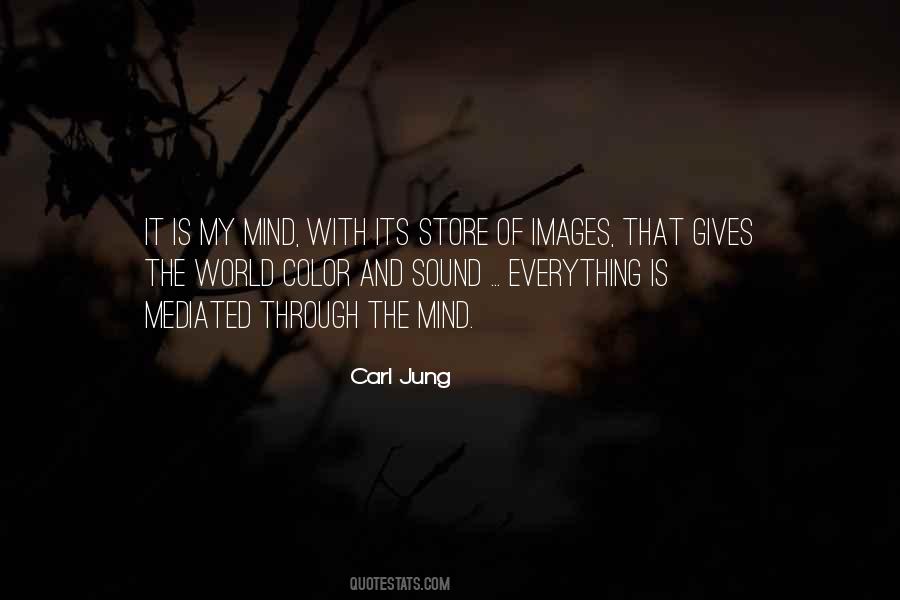 Carl C Jung Quotes #102367