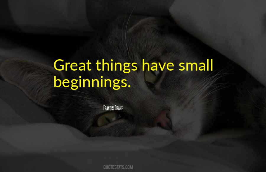 Small Great Things Quotes #170374