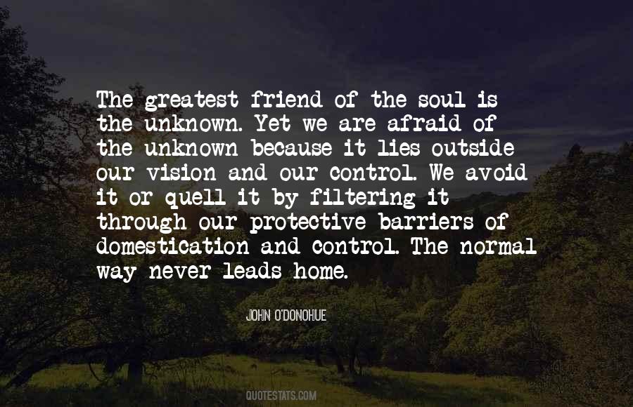 Santicola Steele Quotes #1592484