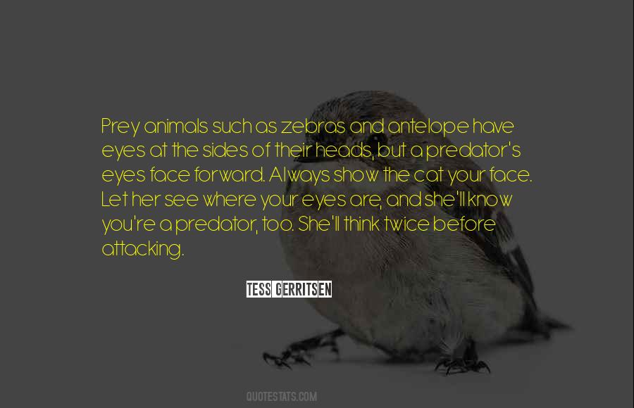 Mockingjay Page Numbers Quotes #1803875