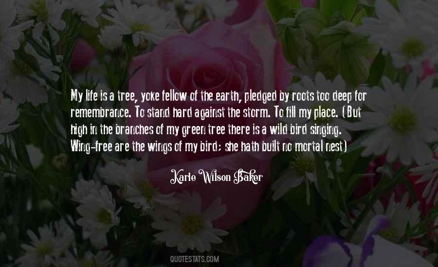 Quotes About The Roots Of A Tree #1192442