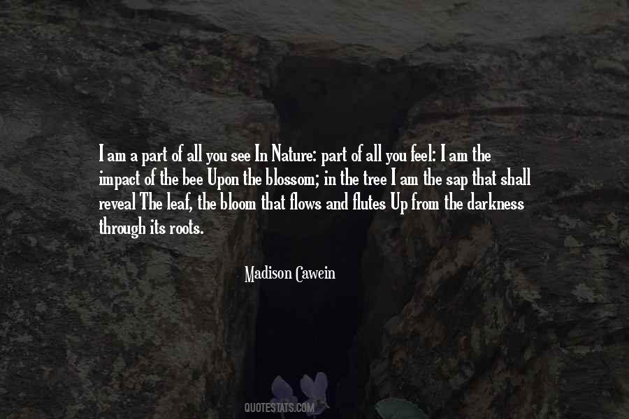 Quotes About The Roots Of A Tree #1340140