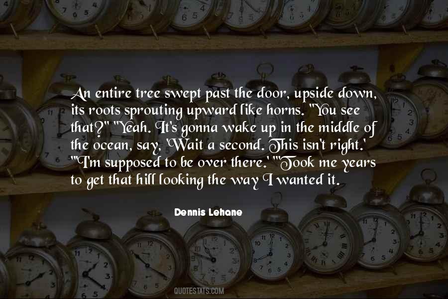 Quotes About The Roots Of A Tree #1346682