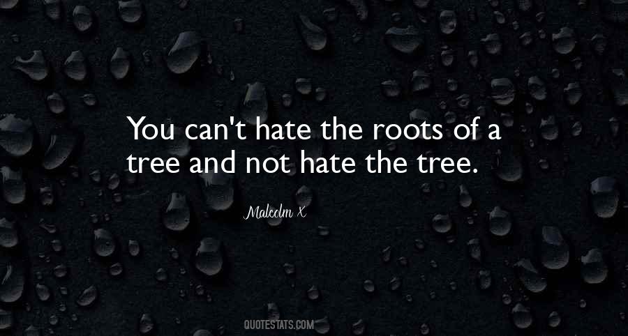 Quotes About The Roots Of A Tree #149210