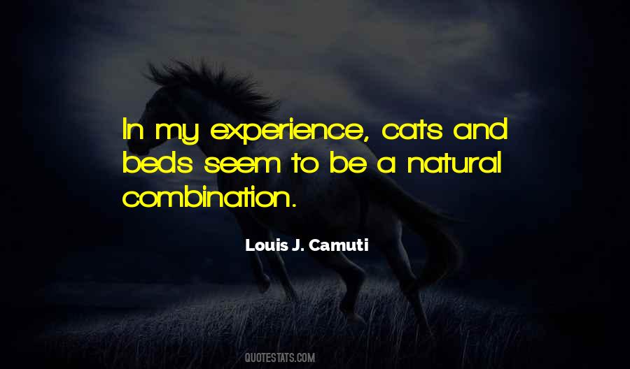 Castellino Robert Quotes #976414