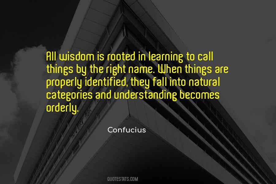 Liccardi Dodge Quotes #1871721