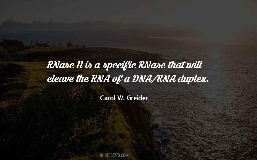 Carol Greider Quotes #1744098