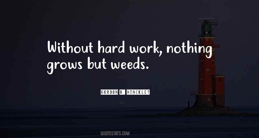Erika Sanchez Quotes #808597