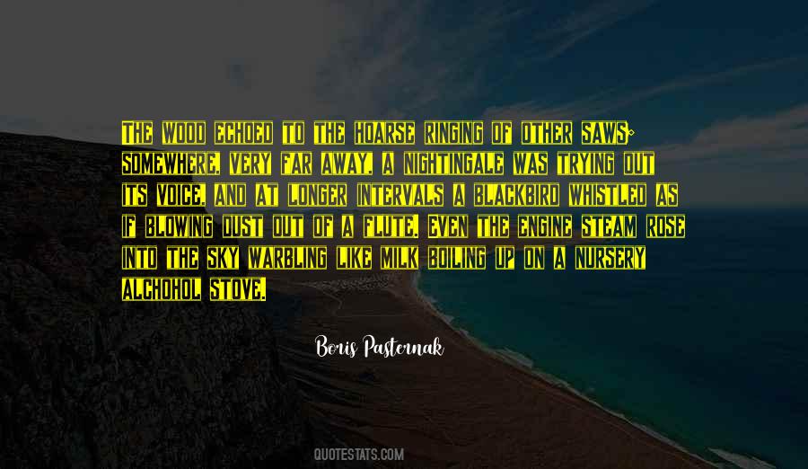Daryoosh Shirbabadi Quotes #1264283