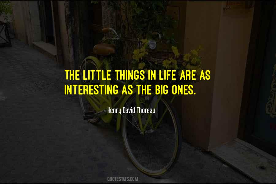 Quotes About Little Things In Life #1404791