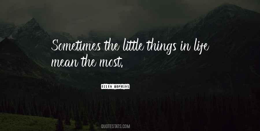 Quotes About Little Things In Life #191644