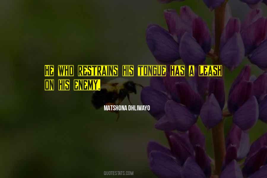 Carrera Sunglasses Quotes #285914