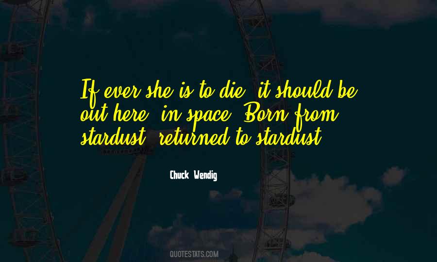 Zerzevat Nedir Quotes #1876147