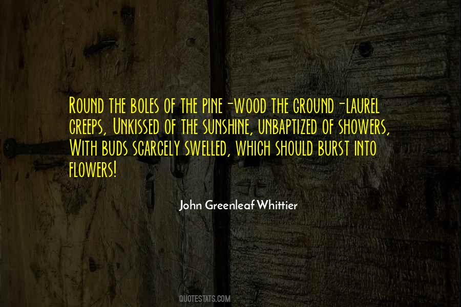 Wood The Quotes #1620214