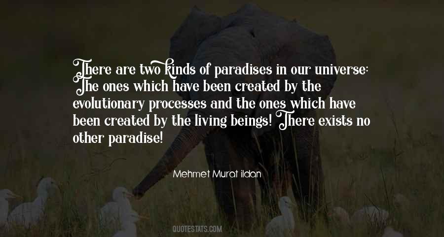 Created By The Universe Quotes #1194917