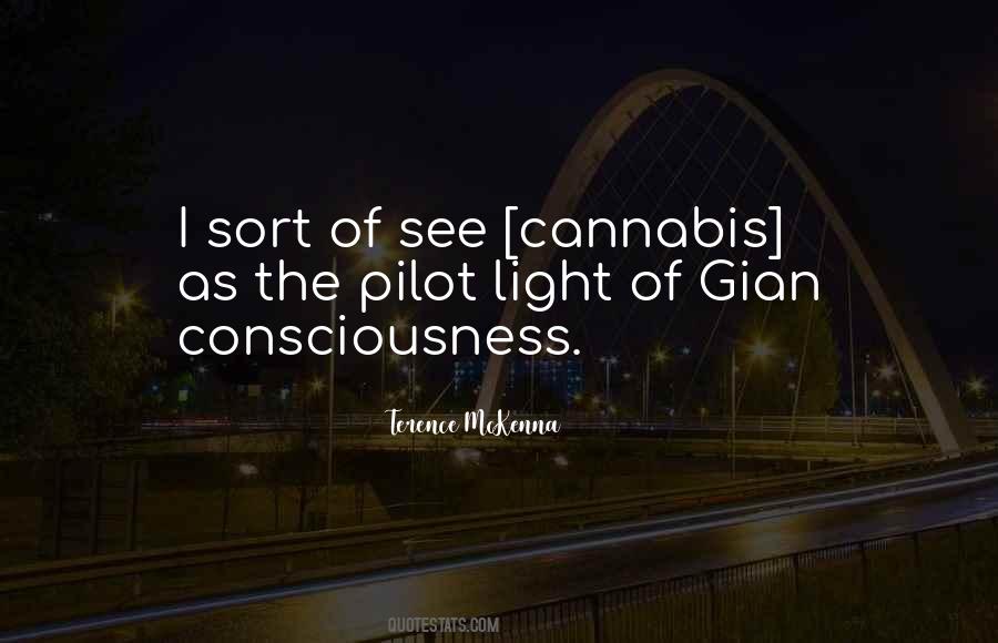 Tszyu Boxer Quotes #650815