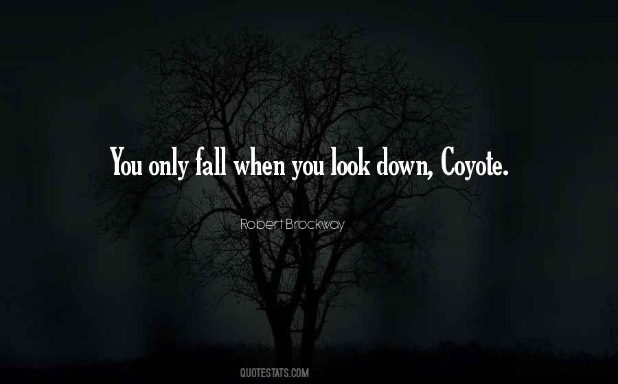 When You Fall Down Quotes #1036730