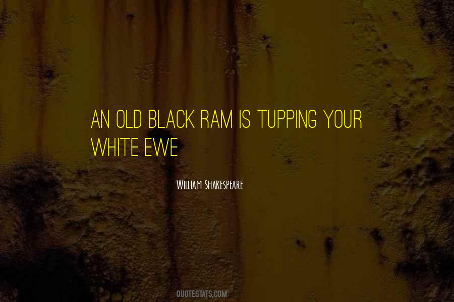 Stillinger Mortuary Quotes #982371