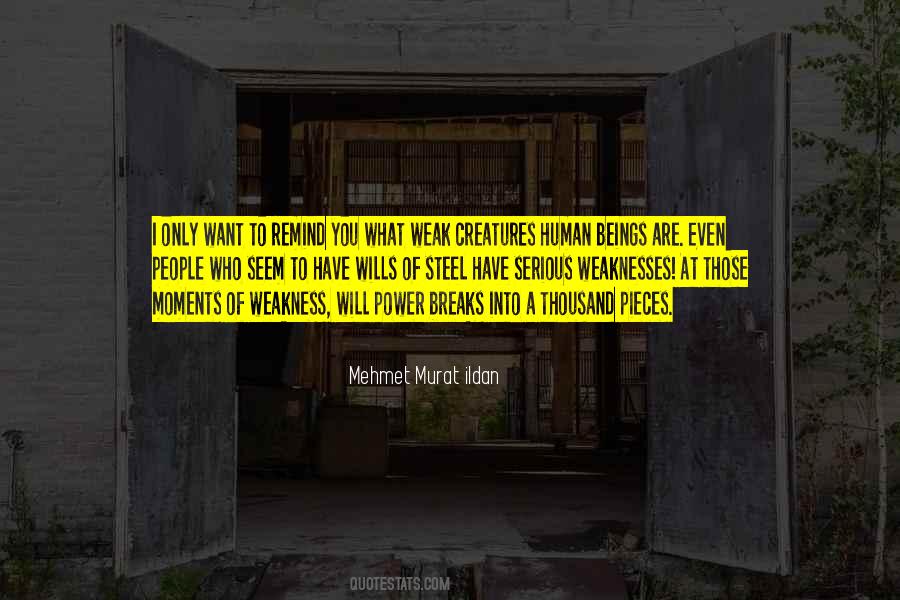 Echemendia Florida Quotes #1007073