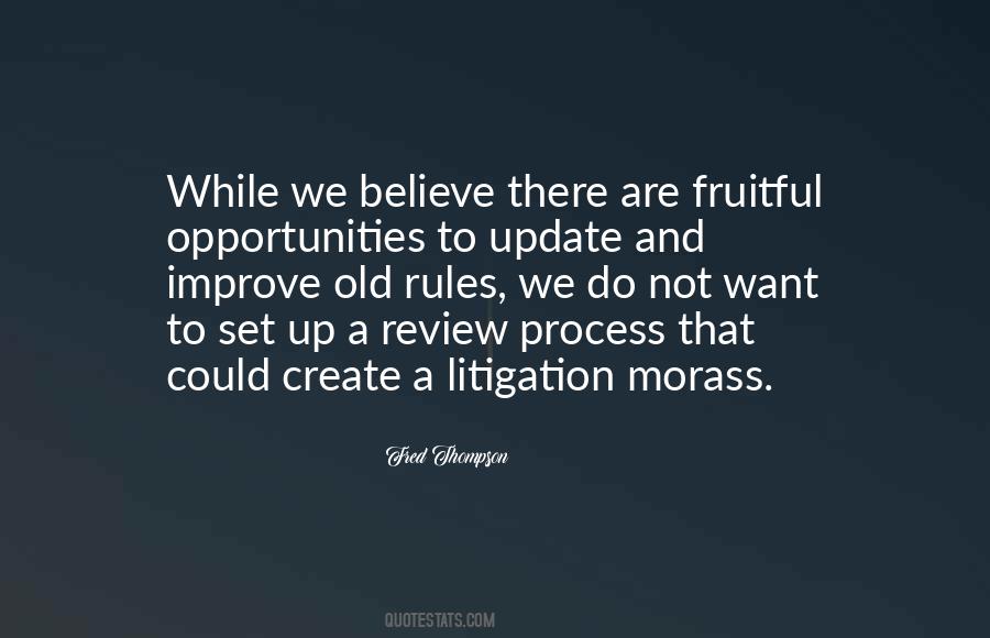 Quotes About Litigation #534953