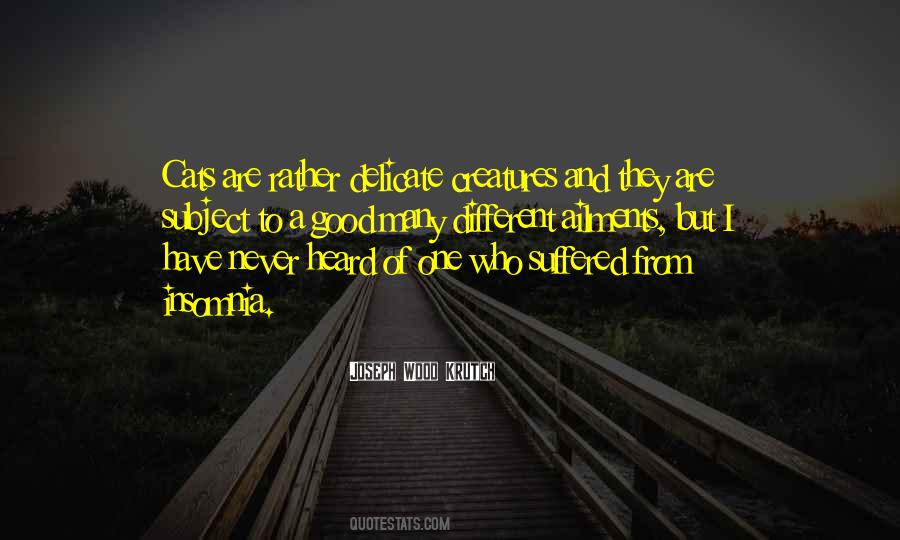 Aleanna Pillars Quotes #731140