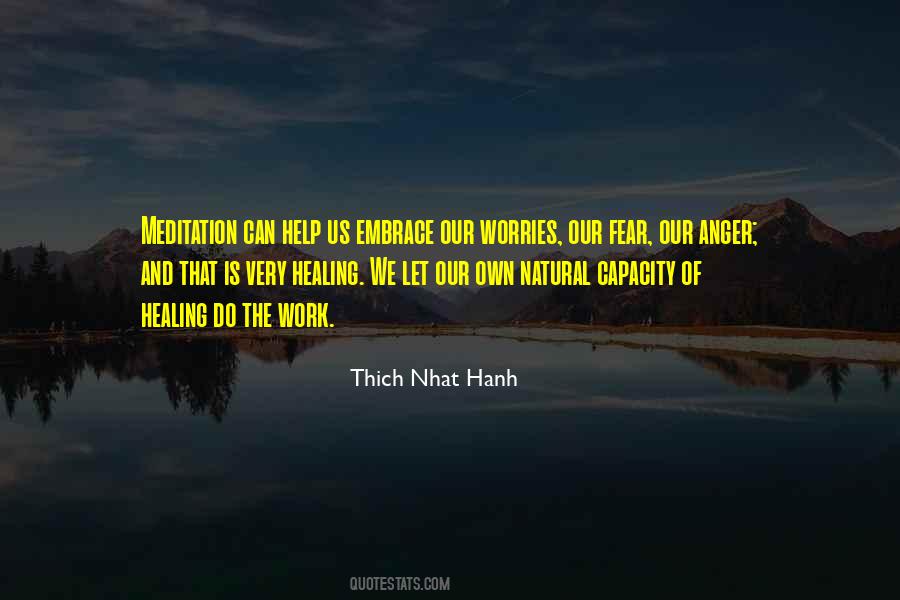 Thich Nhat Hanh Anger Quotes #1131661