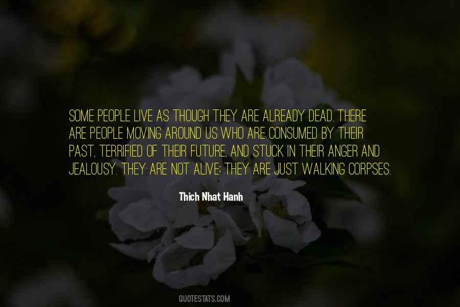 Thich Nhat Hanh Anger Quotes #1461579