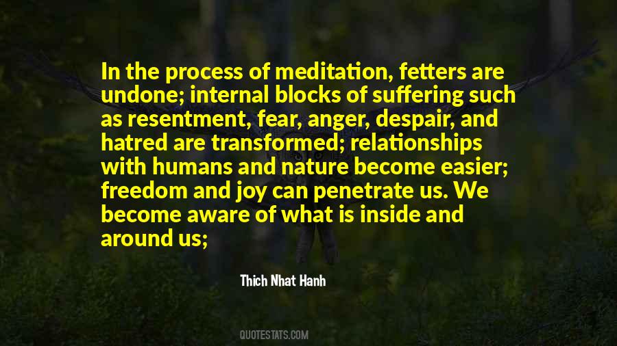 Thich Nhat Hanh Anger Quotes #420527